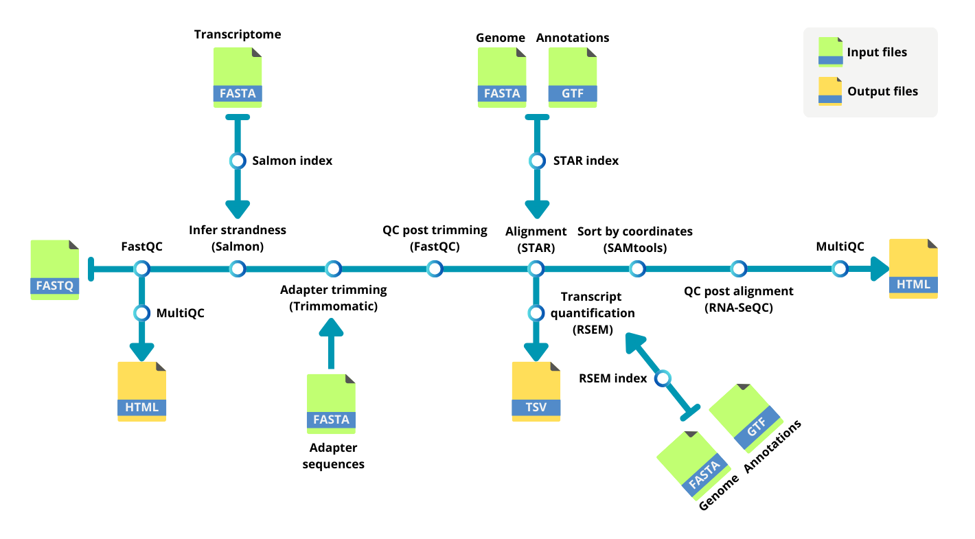 Nextflow Pipeline for RNA-seq Raw Data Processing
